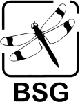 BSG_150 BSG Logo