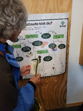 Staudenorakel beim BUND Staudenorakel beim BUND